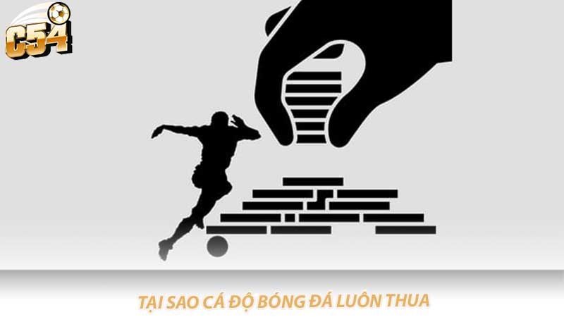 Tại sao cá độ bóng đá luôn thua Bí mật đằng sau thất bại này