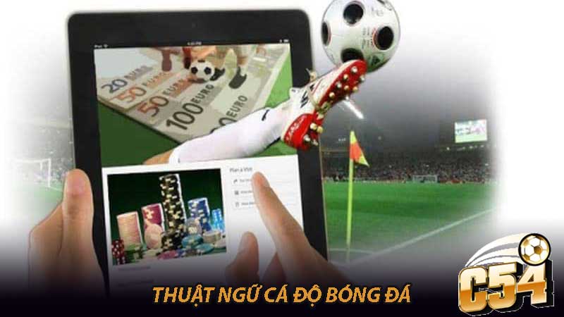 Thuật ngữ cá độ bóng đá Từ điển đầy đủ cho người mới bắt đầu