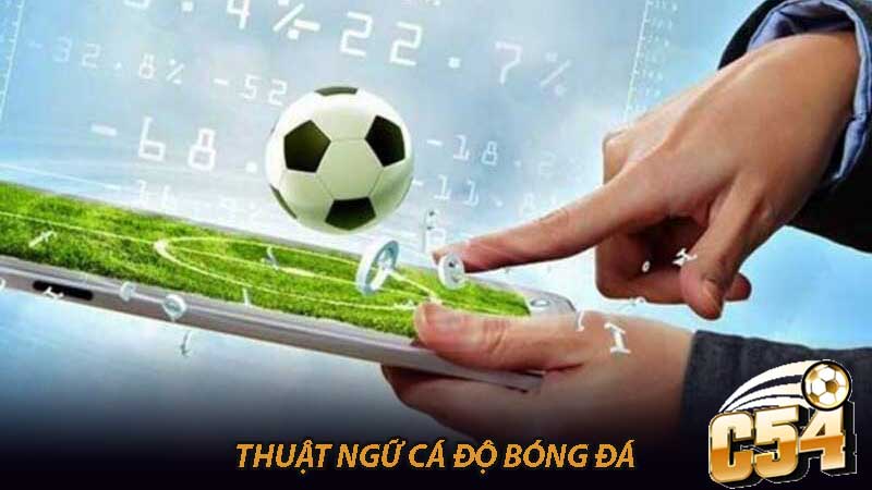 Thuật ngữ cá độ bóng đá Từ điển đầy đủ cho người mới bắt đầu